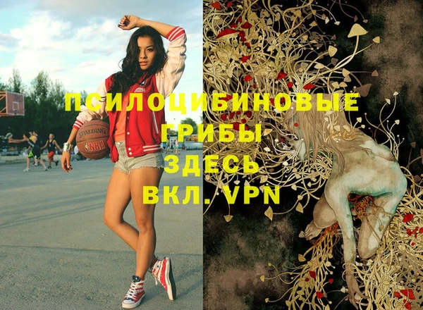 экстази Дмитров