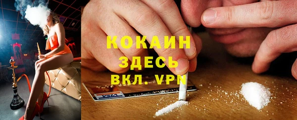 прущие крисы Дмитриев
